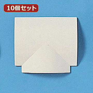 10個セットサンワサプライ ケーブルカバー(T型、アイボリー) CA-R70TX10 管理No. 4589452972029