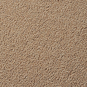 インテリアショップゆうあい カラフルループジュータン ブラウン 約261×352cm 6畳 対応ホットカーペット 日本製 防ダニ 抗菌