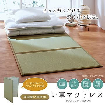 イケヒコ・コーポレーション い草マットレス 100×210cm 8311809