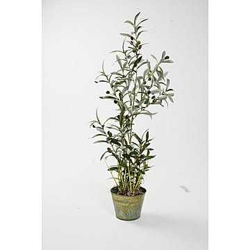 観葉植物 光触媒 フェイクグリーン 「オリーブツリーグラスバケット」ＨＡＧ