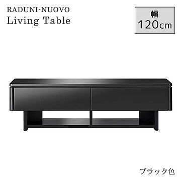 エムケーマエダ家具 RADUNI-NUOVO リビングテーブル ブラック 幅120 奥行48 高さ35 RADN-1211BK