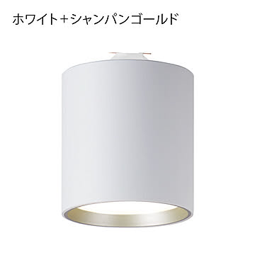 ARTWORKSTUDIO グリッドプラスダクトダウンライト ホワイト+シャンパンゴールド AW-0611E