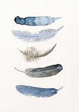 THE CLAY PLAY | WATERCOLOR BIRD FEATHERS (blue/black) (no.377) | A4 アートプリント/ポスター