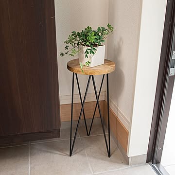 【ポッシュリビング】サークルスタンドL POSH LIVING