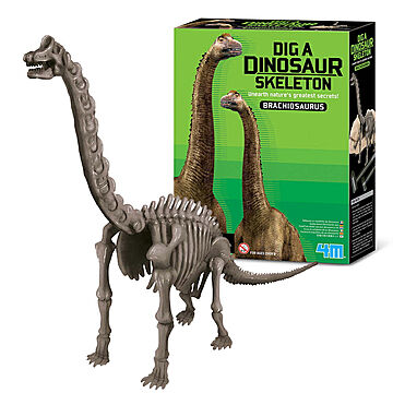 恐竜大好き！気分は考古学者 発掘＆組立 ブラキオサウルス/キッズラボ   4M