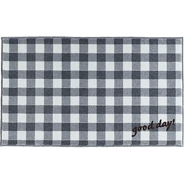クリーンテックス・ジャパン 玄関マット kahou good day 45×75cm gingham