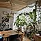 nonbiri_house_