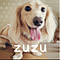 zuzu