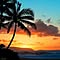aloha