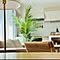 koma___home