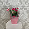 white_rose