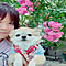 natsumi