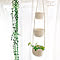 natural_cotton