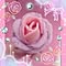 Pink.dream