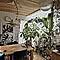 nonbiri_house_