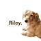 -Riley-mama.-