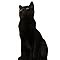 Blacky