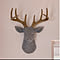 Noah__room
