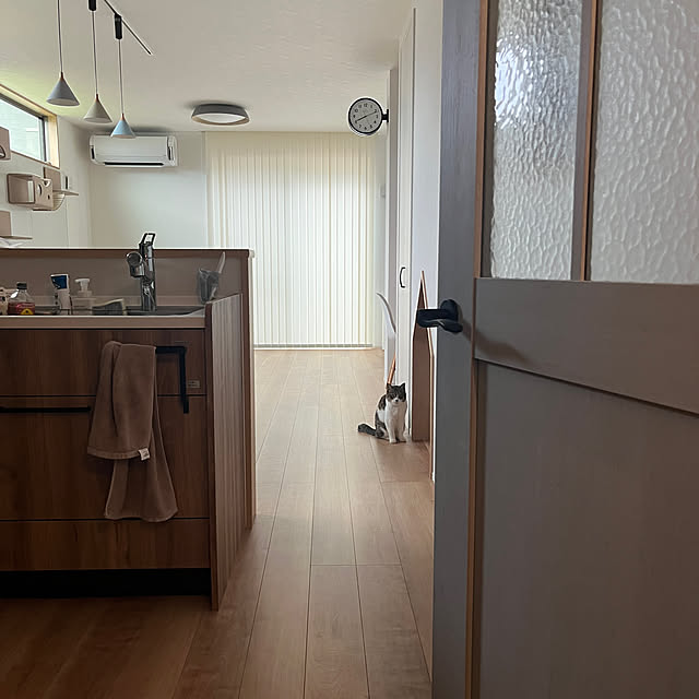 Overview,いってきます♡,朝の1枚,キャットウォーク,LIXIL,ねこのいる日常,猫と暮らす,Living Deli,19畳LDK,にゃんぺき,ねこと暮らす,日の光 tiroの部屋