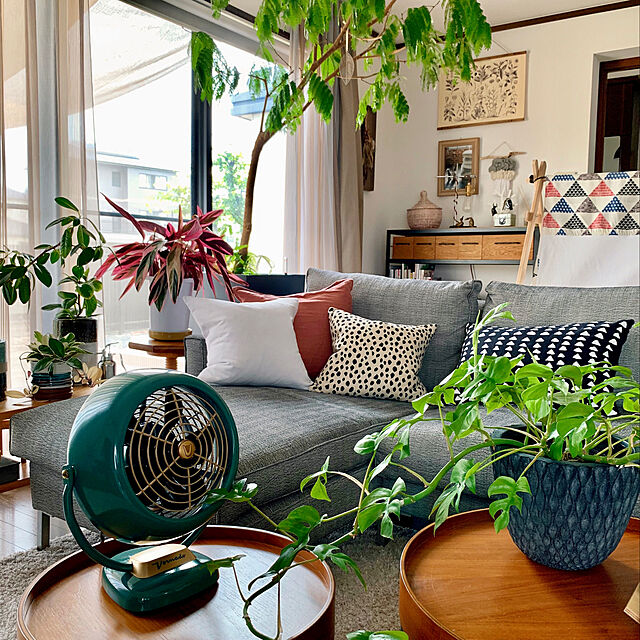 扇風機・サーキュレーター,観葉植物,ACTUS,アイラーセン,植物のある暮らし,オットマンや椅子にもなるテーブル,ティピーテント,Lounge beneyの部屋