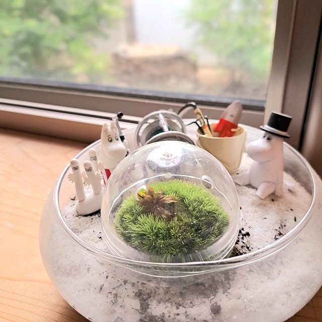 My Desk,ベランダガーデン,出窓のグリーン,苔テラリウム,実験,ガチャガチャ,ミニチュア,フィギュア,カプセル,ムーミン,おうち時間,趣味の時間,楽しい生活,心地よい暮らし,マイペースすぎてすみません( ꒪⌓︎꒪),スルーOK kazuraの部屋