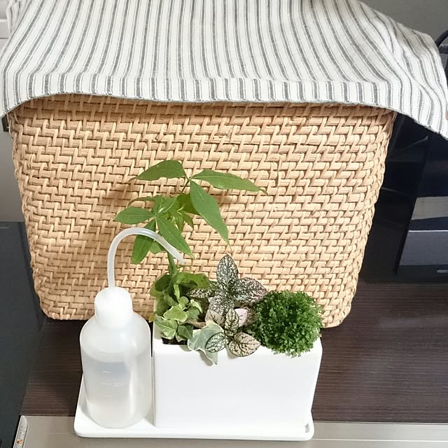 Lounge,植物,日替わり投稿企画!木曜日,シンプルが好き,かご収納,無印良品,エコカラット,配線隠し,観葉植物,シンデレラフィット nissyの部屋