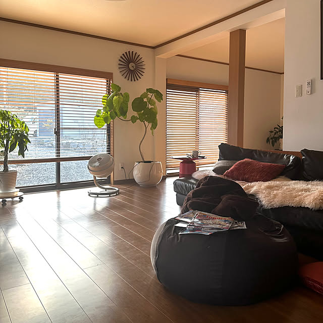 観葉植物,グリーン,木製ブラインド,ブラウン,カーテン,ニチベイ,Overview mizuyoの部屋