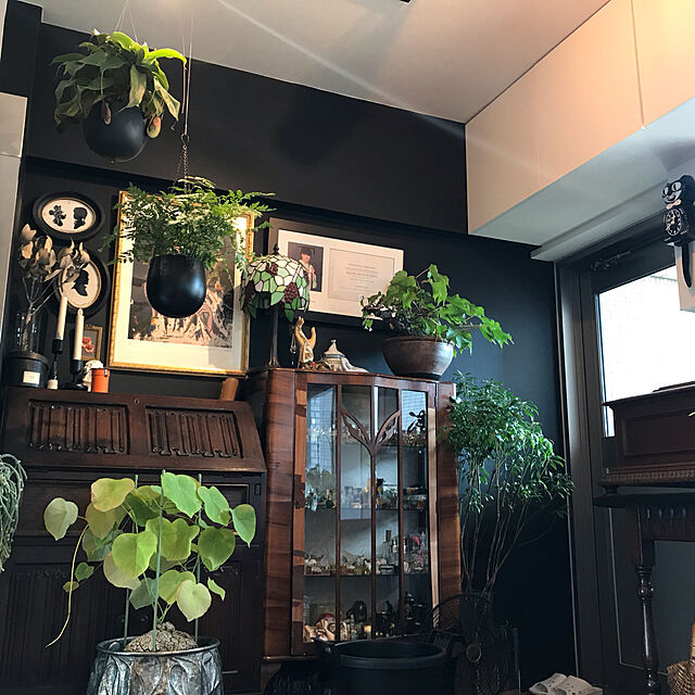 観葉植物,モノトーン,アンティーク,My Desk mamekoの部屋