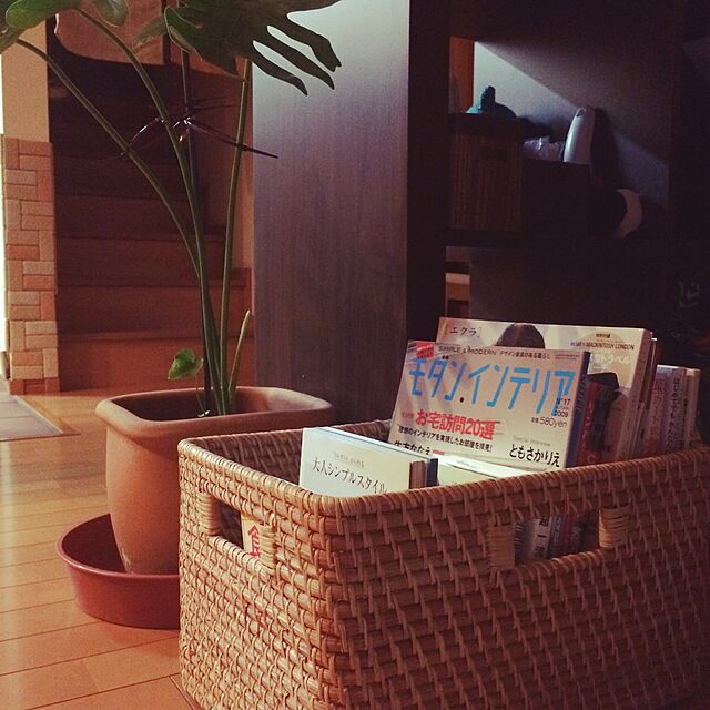 Lounge,雑誌収納,かご収納,ニトリ,観葉植物 Yokoの部屋