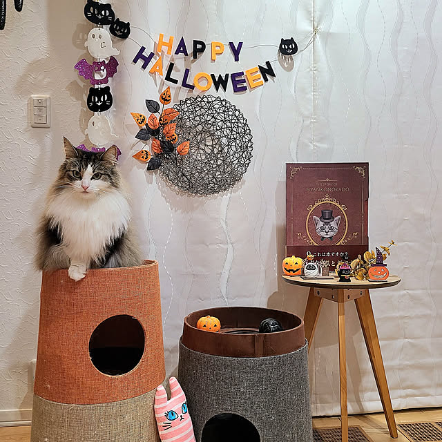 ハロウィン,サイドテーブル,ナチュラルインテリア,meglas,メグラス,猫のいる風景,猫と暮らす家,猫,爪とぎ,ノルウェージャンフォレストキャット akiko6193の部屋