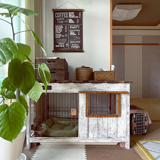 ペットと暮らす家,ナチュラル,ウンベラータ,チワワ,犬小屋DIY,Bedroom,カフェ風 kozuの部屋