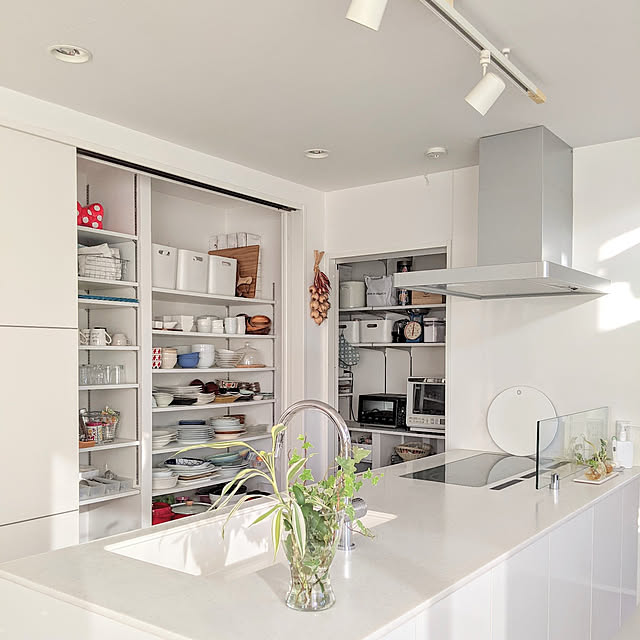 Kitchen,パントリー収納,キッチン収納,隠す収納,隠す派,キッチンカウンター,パナソニックキッチン,ラクシーナ,パントリー,ホワイトインテリア,シンプルモダン,グリーンのある暮らし,IKEA,無印良品,やわらかポリエチレンケース,シーリングライト,キッチン家電,IKEA 雑貨,IKEAの花瓶,トリプルワイドIH gooskaの部屋
