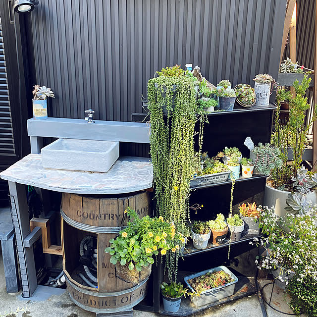 多肉植物のある暮らし,廃材利用,アイデア,コーヒー樽,手洗い場DIY,立水洗diy,グレー,今日の1枚,グリーンのある暮らし,多肉寄せ植え,DIY雑貨,ガーデンdiy,多肉植物,DIY女子,多肉棚,黒ガルバ,Overview Tomokoの部屋