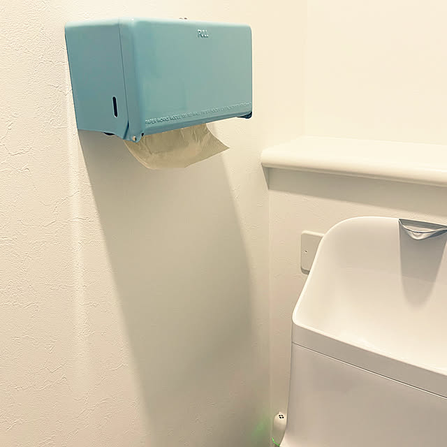 Bathroom,桧家住宅,フレンチカントリー,桧家住宅フレンチカントリー,2階トイレ,DULTON kiiiの部屋