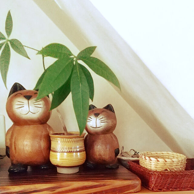 My Shelf,小鹿田焼器,木彫り猫の親子,100均のパキラ,パキラ初めはミニ komgi12の部屋