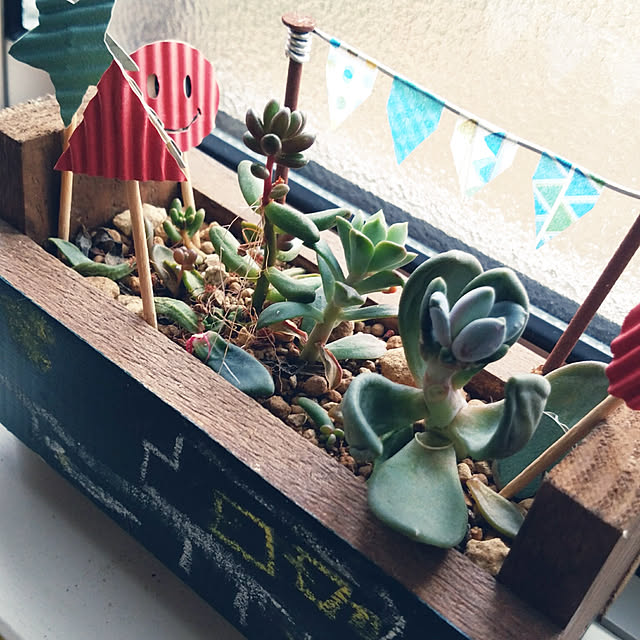 On Walls,DIY,建売住宅,雑貨,多肉植物,やんちゃ息子,窓際 natumamaの部屋
