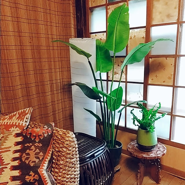 Lounge,シンボルツリー,古い家を好きになるDIY,ボタニカルインテリア,古い家,平屋暮らし,植物のある暮らし,グリーン,キリムクッション,ニトリ,ガラス障子,ニトリのフェイクグリーン,ミックスインテリア,アジアン,クッション,ボタニカルライフ,くつろぎ空間,BOHO rieの部屋