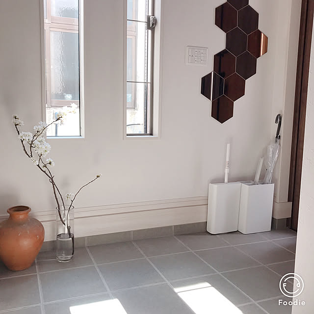 タイル床,ニトリ傘立て,カインズホーム ほうき,桜,観葉植物,三協アルミ,縦スリット窓,IKEA 鏡,Entrance AZUの部屋