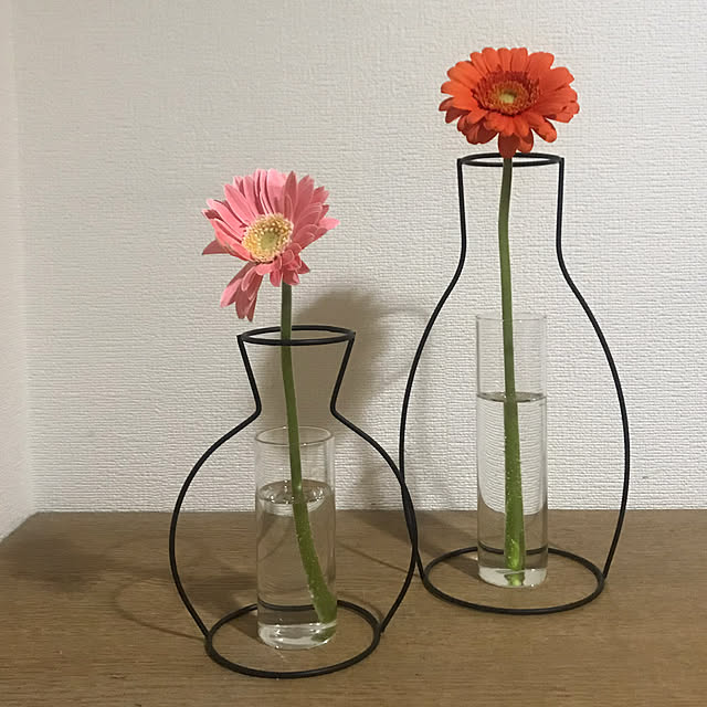 ガーベラ,花のある暮らし,花,窓,フラワーベース,キャンドゥ,花瓶,100均,My Shelf,ワイヤーフラワーベース,シリンダーグラスボトル nicoの部屋