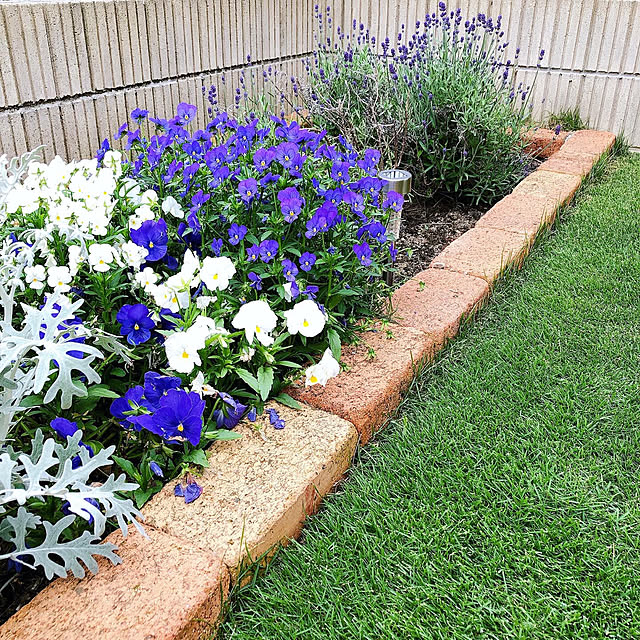 花壇diy実例選 Roomclip Mag 暮らしとインテリアのwebマガジン 花壇diy実例選 Roomclip Mag 暮らしとインテリアのwebマガジン