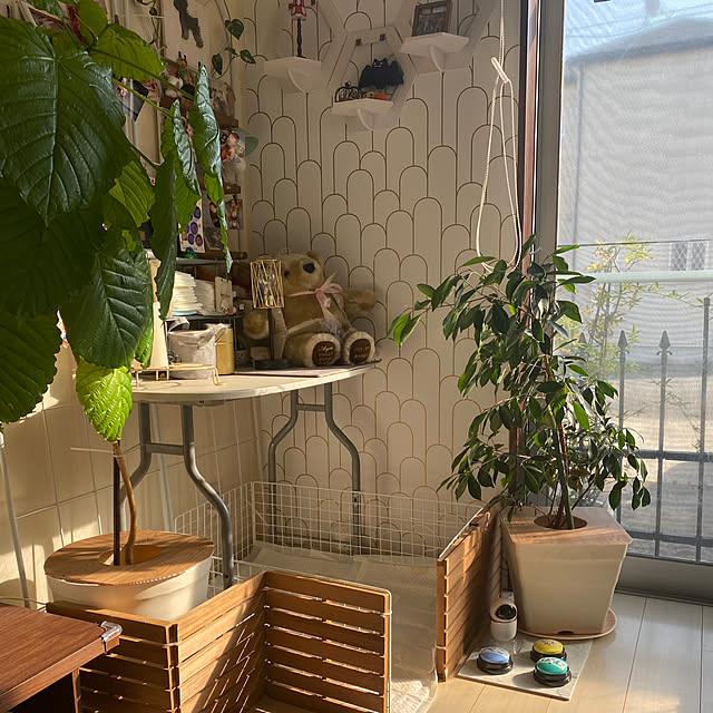 Lounge,100均,いたずら対策,プランツテーブル,10分でできる,RCの出会いに感謝♡,多頭飼い,いいね！押し逃げばかりでごめんなさい。,コメントお気遣いなく,お邪魔できずすみません,お家見直し,音声ボタン練習中 alchoの部屋
