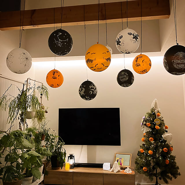 Lounge,アルザスツリー,植物のある生活,植物のある暮らし,しょくぶつのある暮らし,ハロウィン,手作り,工作,おばけ,ハロウィンディスプレイ,ハロウィンパーティー,ハロウィン飾り,ハロウィンはじめました,ハロウィン仕様,ハロウィンインテリア,工作大好き♡,吹き抜け,吹き抜けリビング,化粧梁,吹き抜けのある家,吹き抜け 梁,化粧梁デコレーション,化粧梁のある暮らし poa.t_hの部屋