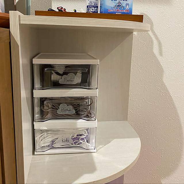 マスク置き場所,こどもと暮らす。,中古住宅,雑貨,セリア,Entrance ihwa15の部屋
