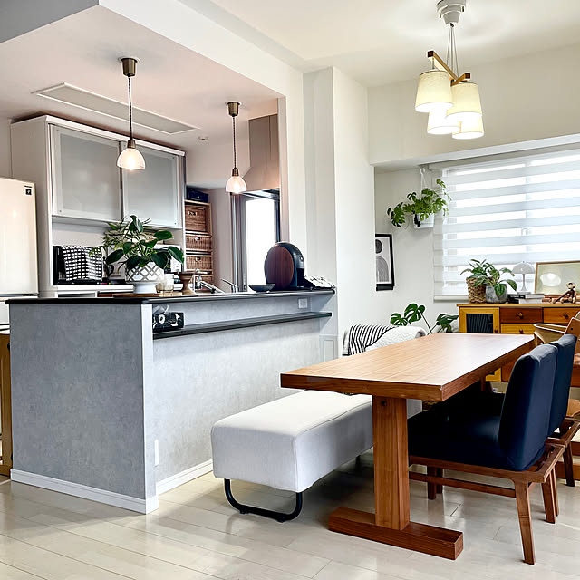Kitchen,フィロデンドロン,ヒメモンステラ,ロールスクリーン,バーズワーズ シルクスクリーン,カイボイスン モンキー,パンテラ ポータブル,マリメッコ,ネスカフェバリスタ,ACTUS ダイニングセット,アクセントクロス　セメント,Ampoule 照明,ペンダントライト,いいね！コメント！うれしいです♥,マンション暮らし,観葉植物のある暮らし,RoomClipの出逢いに感謝♡,ダウンライトからペンダントライトへ manchanの部屋