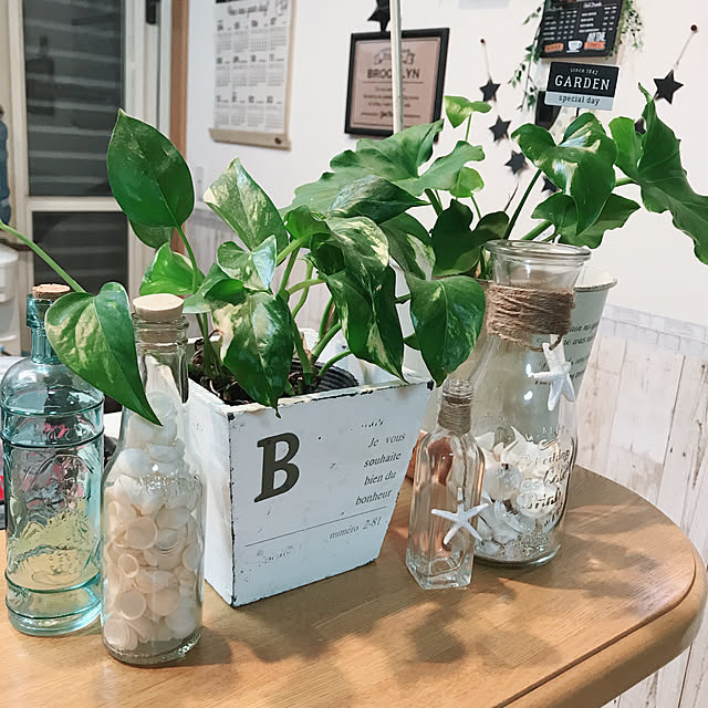 Lounge,西海岸インテリアに憧れ中,キャンドゥ,夏っぽく♡,こんばんゎ☆。.:＊・゜,お疲れ様です♡,いいね、フォロー本当に感謝です♡,無言いいねごめんなさい(ノ_＜),観葉植物大好き❤︎,リメイクシート♡,セリア,ポチポチ押し逃げごめんなさぃ♡,お気に入り鉢,カインズホーム Akiの部屋