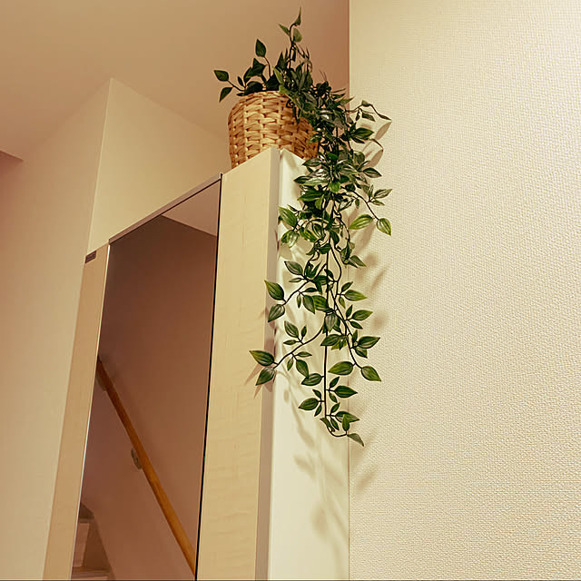 カゴバスケット,グリーンのある暮らし,グリーンインテリア,垂れ下がる植物,フェイクグリーン IKEA,IKEA,Entrance,玄関,下駄箱,下駄箱の上 Moroheiyaの部屋