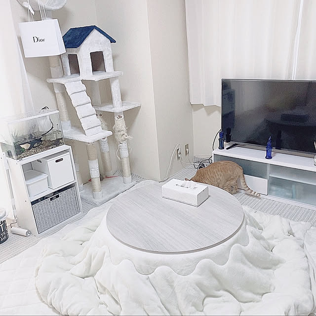 猫と暮らす,古い賃貸,賃貸マンション,ホワイトインテリア,Lounge,ふたり暮らし fu_の部屋