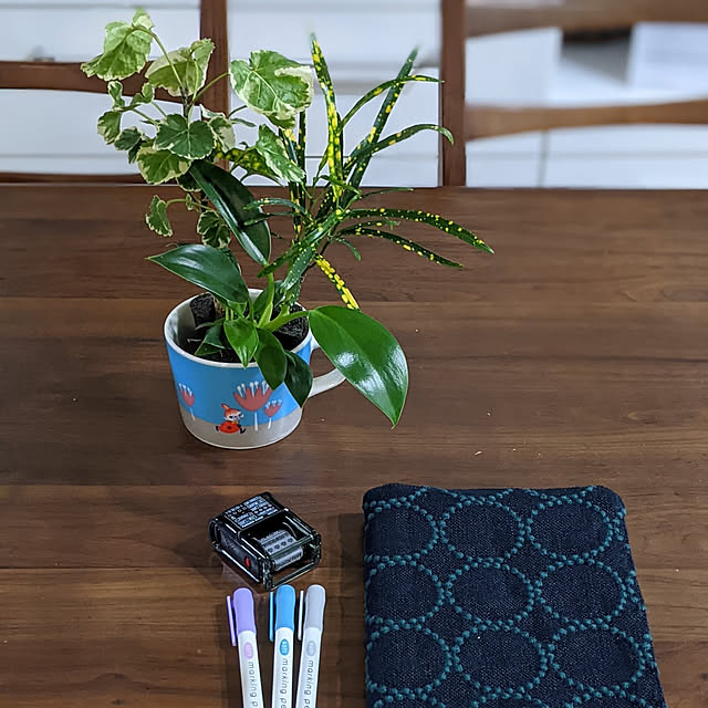 My Desk,観葉植物,グリーンのある暮らし,おうち時間,＆Green,アンドグリーン,賃貸マンション,ミナペルホネンタンバリン,手帳カバーハンドメイド,モニター投稿につきコメントお気遣いなく♡ ichi.の部屋