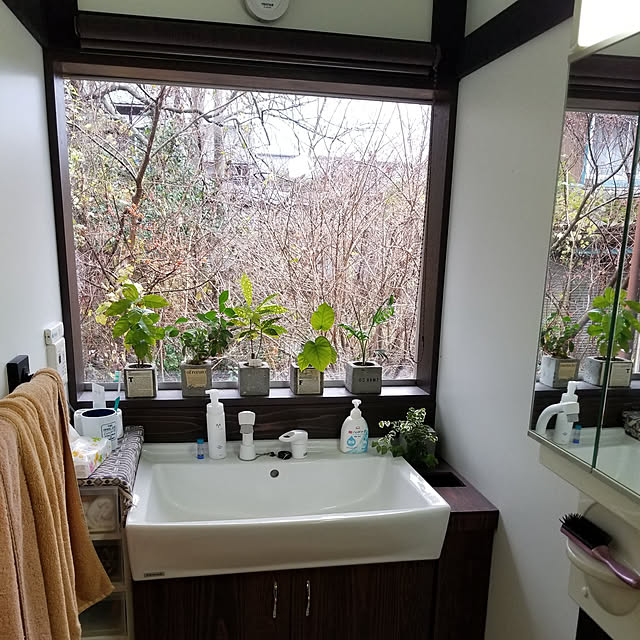DIY,洗面所 bazzの部屋