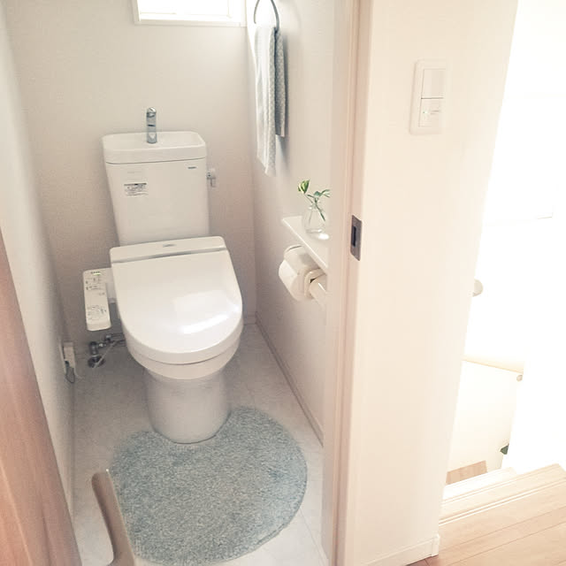 Bathroom,建売住宅,トイレ,普通のトイレ,ニトリのトイレマット,シンプルインテリア,北欧,トイレ掃除 pinokoの部屋